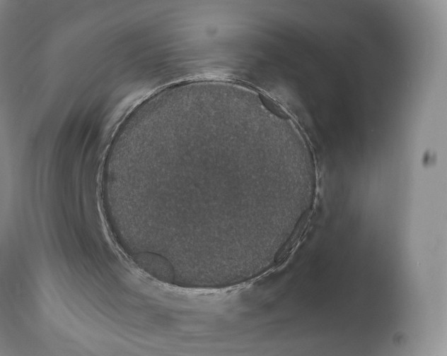 X0000111910001200908241037
