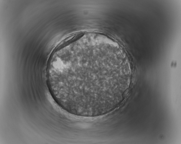 X0000111910002200908241037