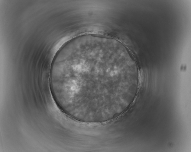 X0000111910003200908241037