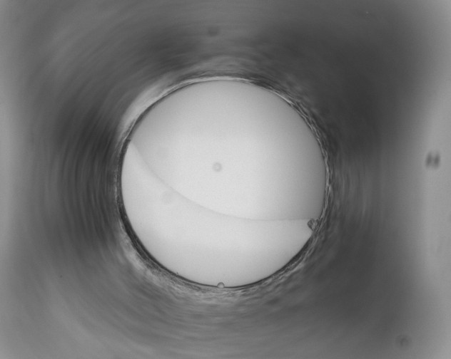 X0000111910004200908241037