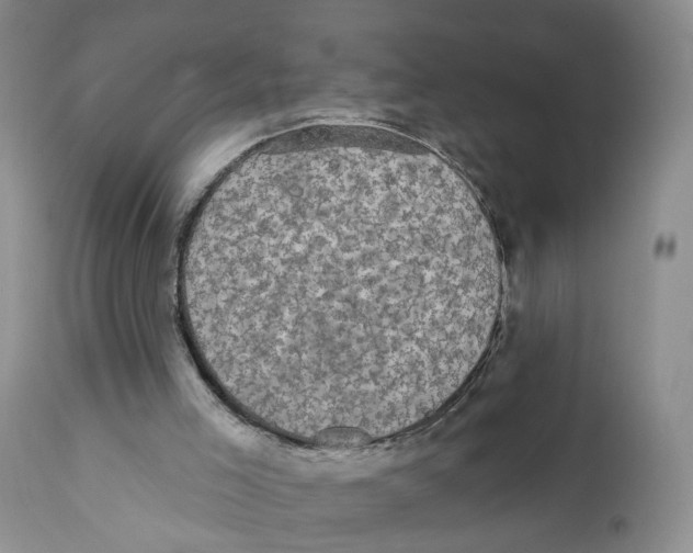 X0000111910005200908241037