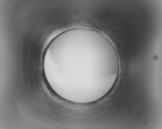 X0000111910008200908241037