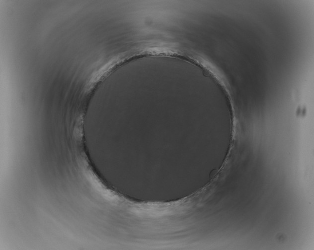 X0000111910009200908241037