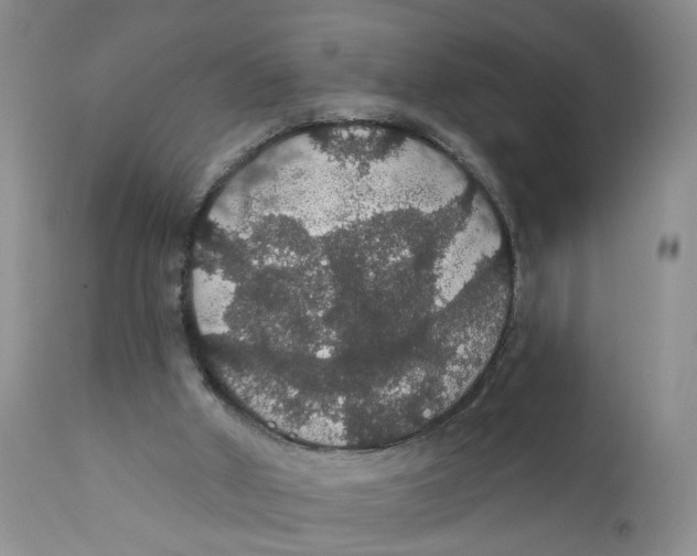 X0000111910010200908241037
