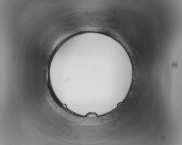 X0000111910011200908241037