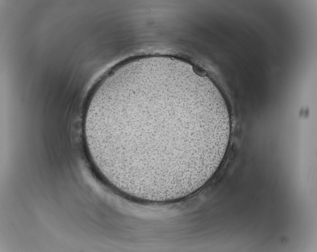 X0000111910012200908241037