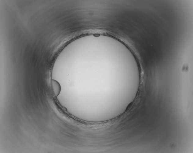 X0000111910013200908241037