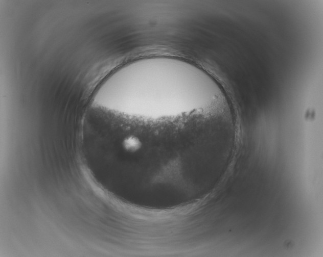 X0000111910014200908241037