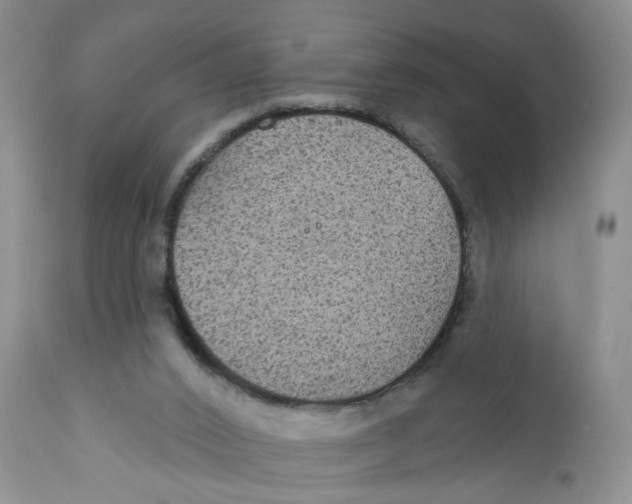 X0000111910016200908241037