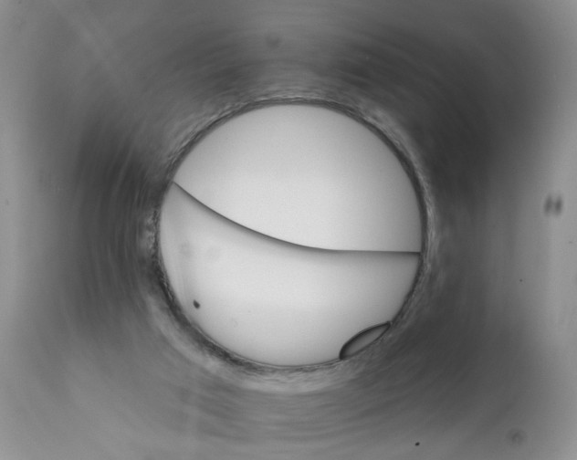 X0000111910017200908241037
