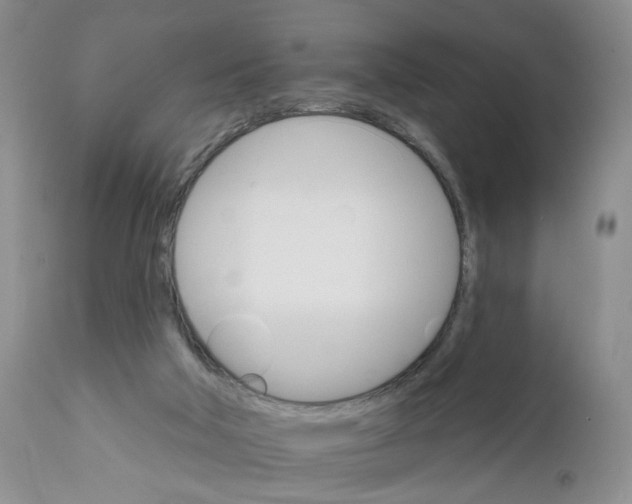X0000111910018200908241037