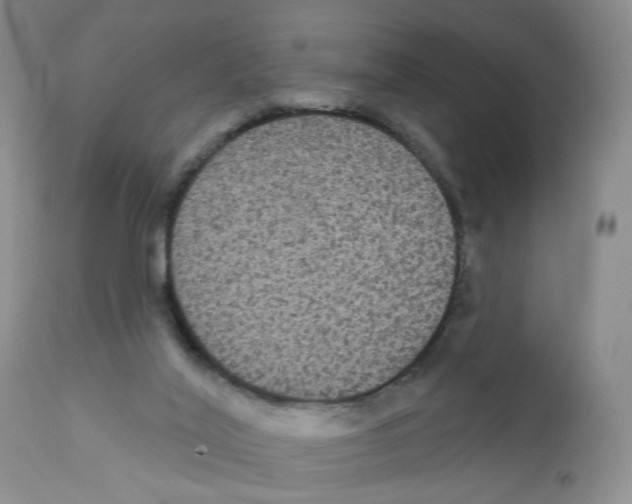 X0000111910020200908241037