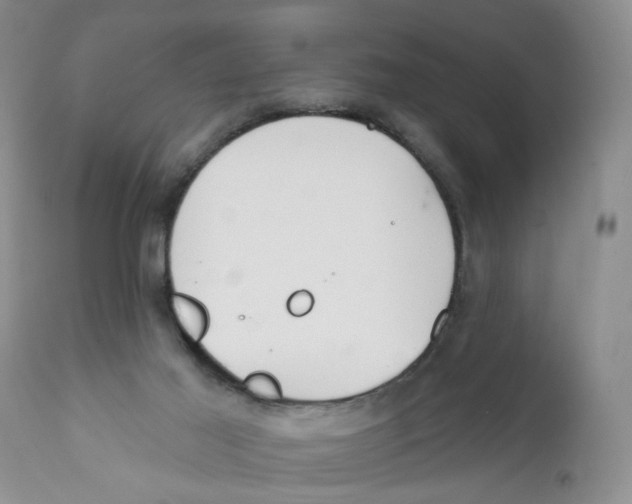X0000111910021200908241037