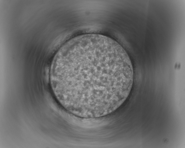 X0000111910022200908241037