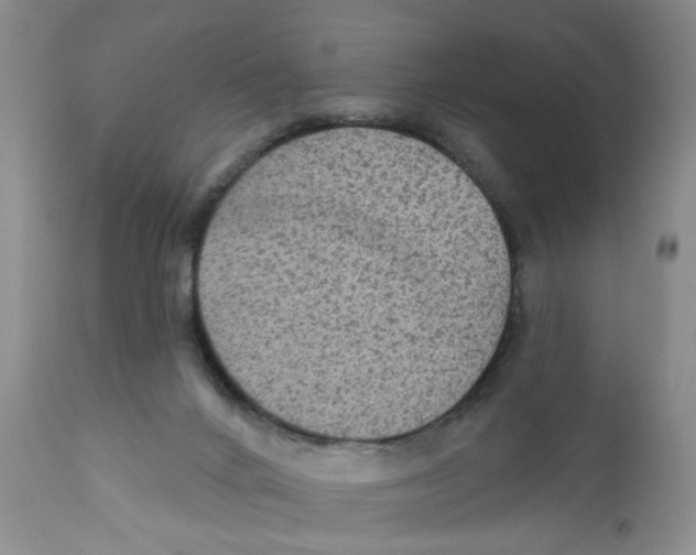 X0000111910024200908241037