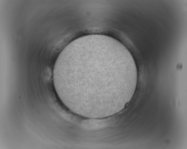 X0000111910025200908241037
