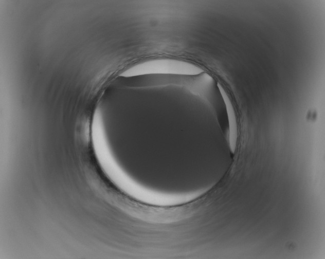 X0000111910027200908241037