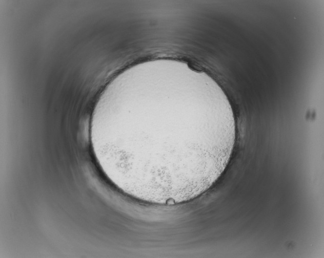X0000111910028200908241037