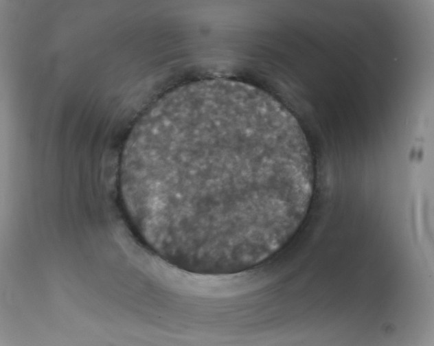X0000111910030200908241037