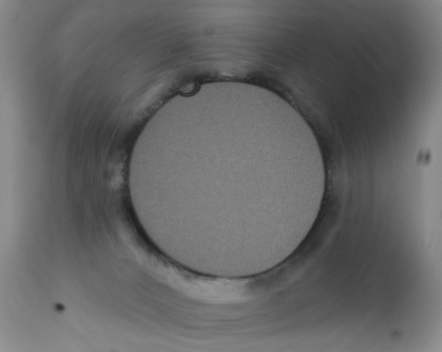 X0000111910032200908241037