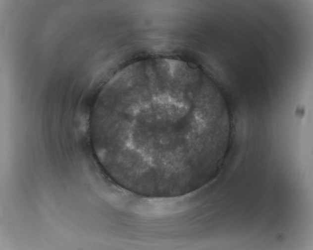 X0000111910033200908241037