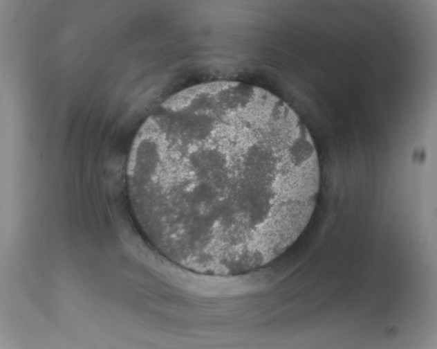 X0000111910034200908241037