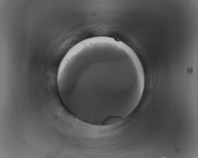 X0000111910035200908241037