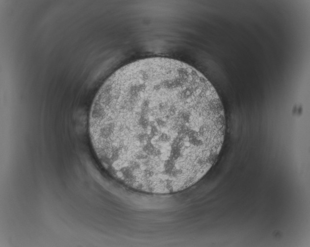 X0000111910036200908241037