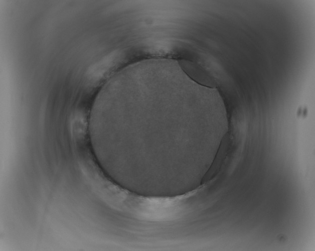 X0000111910037200908241037