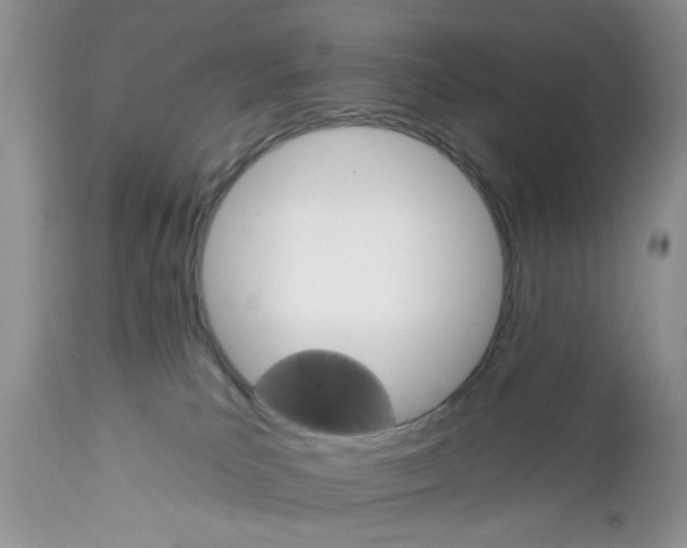 X0000111910039200908241037