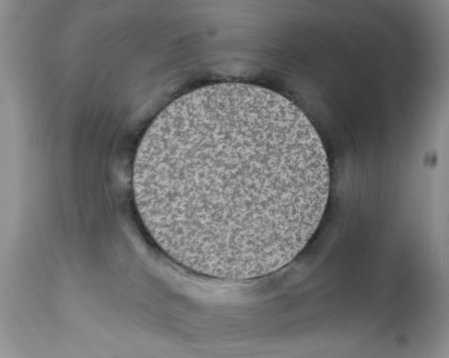 X0000111910040200908241037