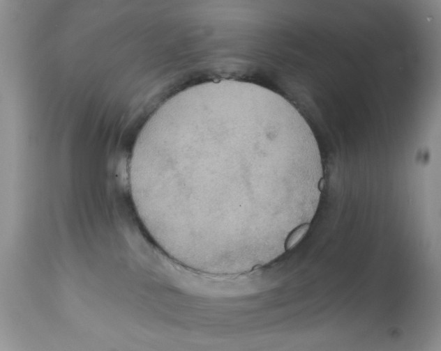 X0000111910042200908241037