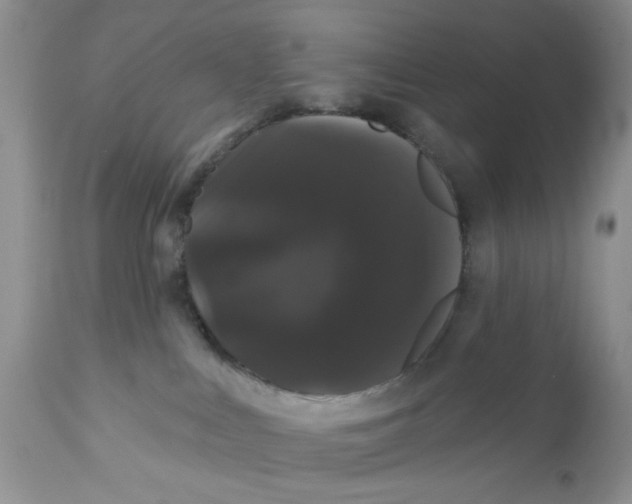 X0000111910043200908241037