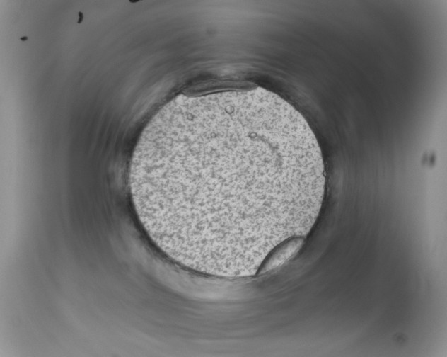 X0000111910044200908241037