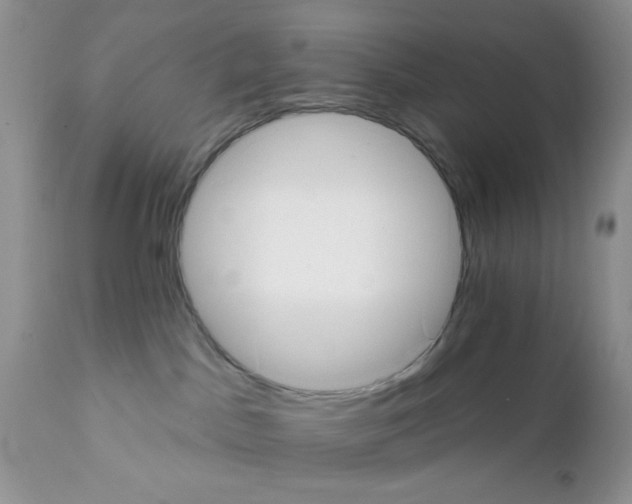 X0000111910045200908241037