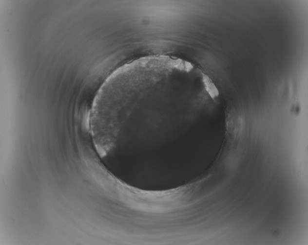 X0000111910046200908241037