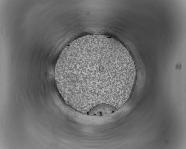 X0000111910048200908241037
