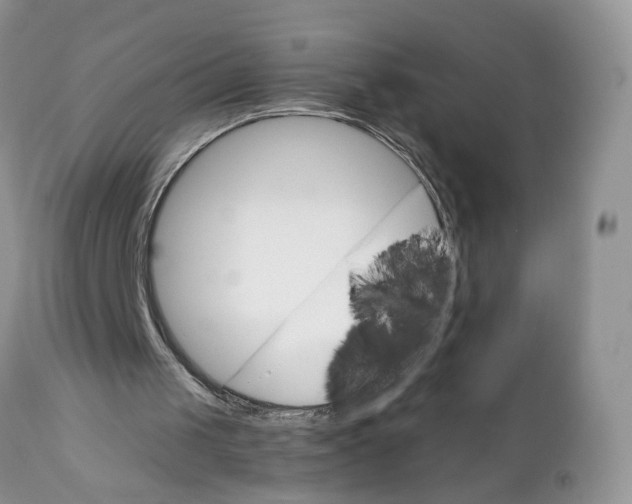 X0000111910049200908241036