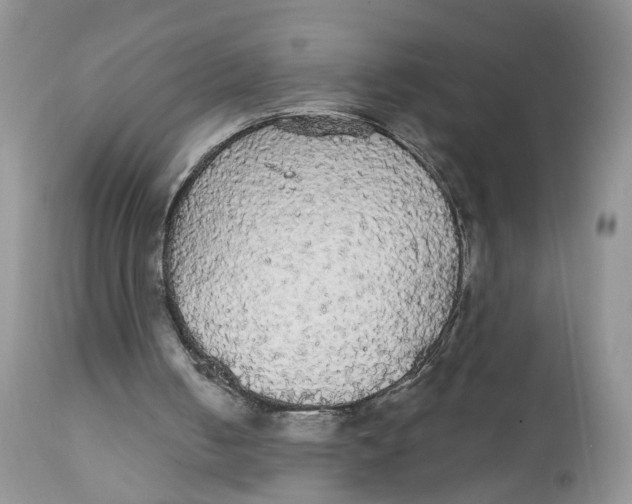 X0000111910050200908241036