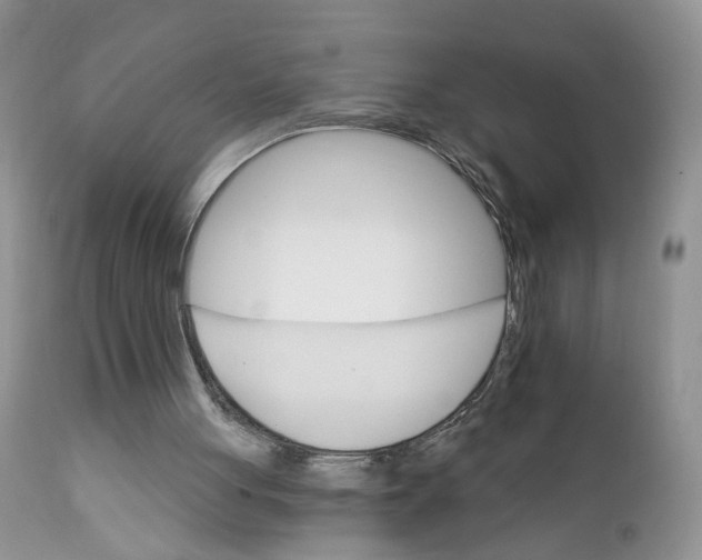 X0000111910051200908241036