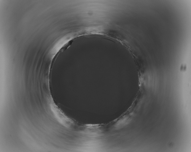 X0000111910052200908241036