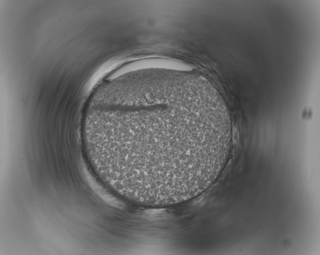 X0000111910054200908241036
