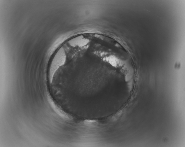 X0000111910055200908241036