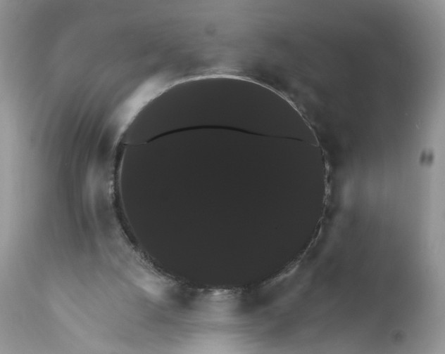 X0000111910056200908241036