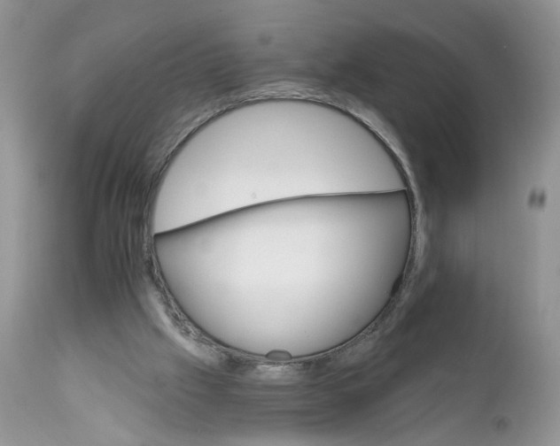 X0000111910057200908241036