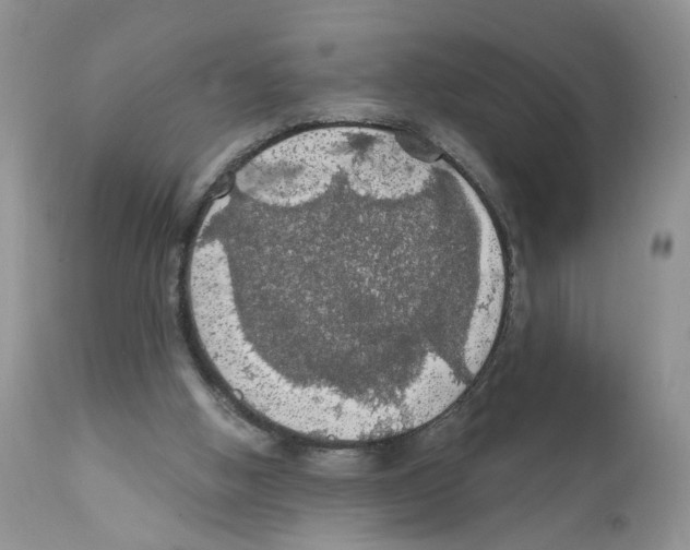 X0000111910058200908241036