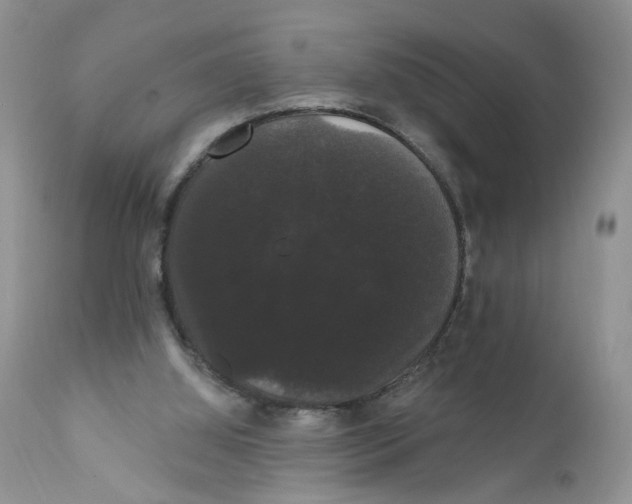 X0000111910060200908241036