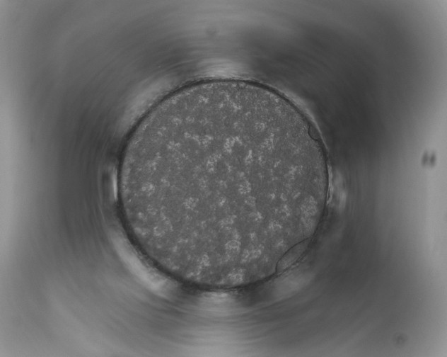 X0000111910061200908241036