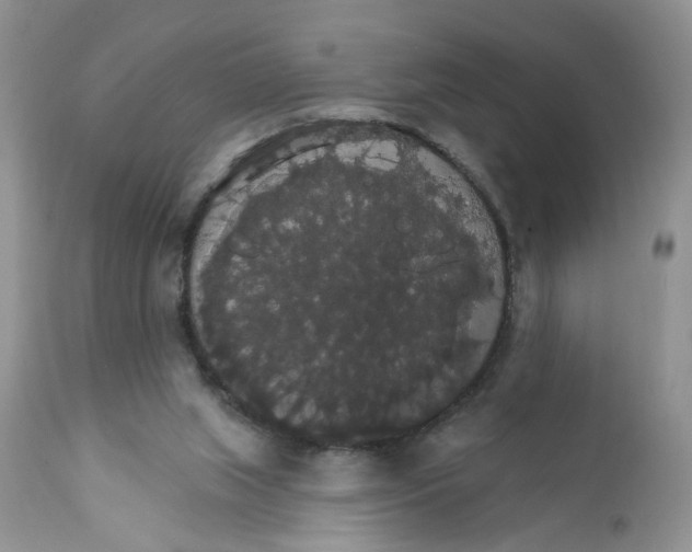 X0000111910063200908241036