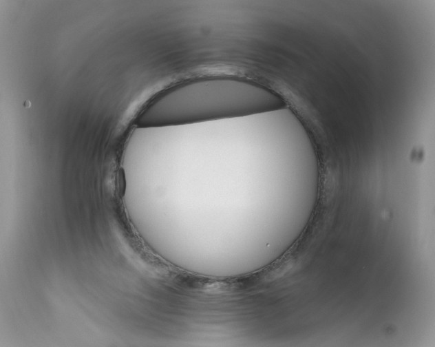 X0000111910064200908241036